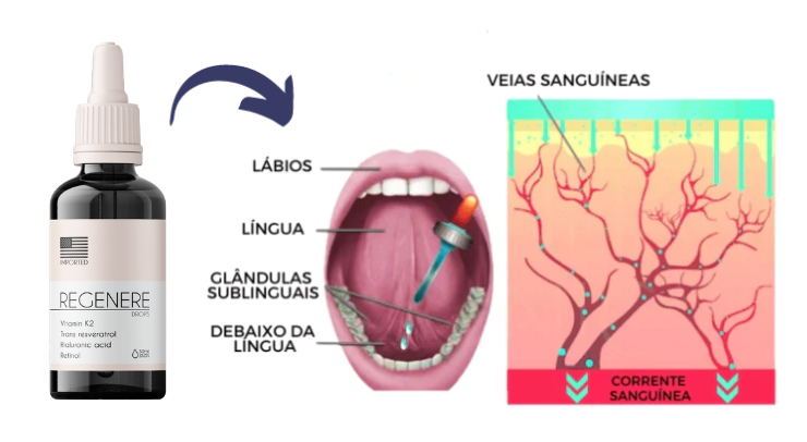 como tomar Regenere Drops